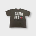 Vintage 90er Nutmeg Chicago Bulls T-Shirt | XL