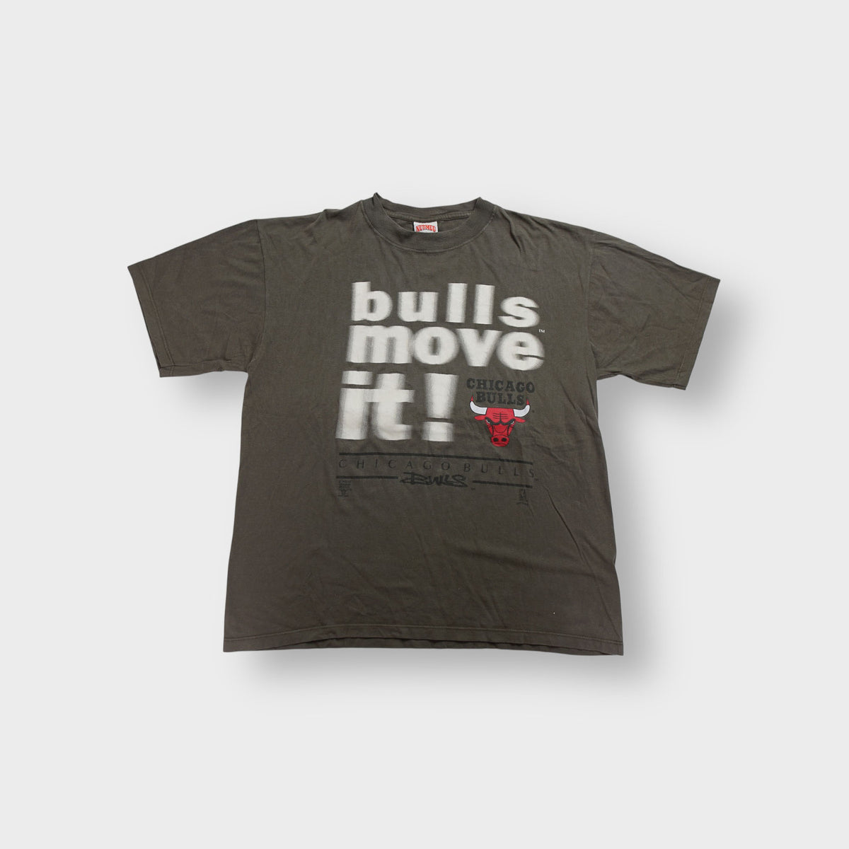Vintage 90er Nutmeg Chicago Bulls T-Shirt | XL