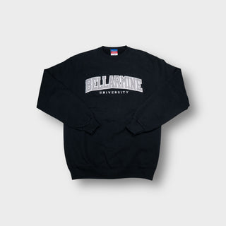 Vintage Champion Pullover | M