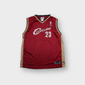 Reebok basketball jersey in red with Cleveland 23 front graphic print
