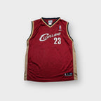 Reebok basketball jersey in red with Cleveland 23 front graphic print