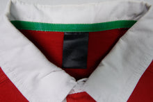 Load image into Gallery viewer, Adidas British &amp; Irish Lions 2013 Rugby Poloshirt | M
