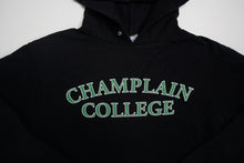Load image into Gallery viewer, Vintage Champion College Pullover | S