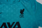 Nike FC Liverpool 24-25 Pre Match Jersey | S